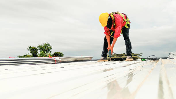 Best 4 Ply Roofing  in Friendswood, TX