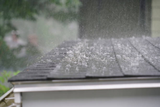Best Flat Roofing  in Friendswood, TX